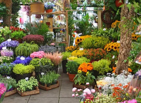 Florist