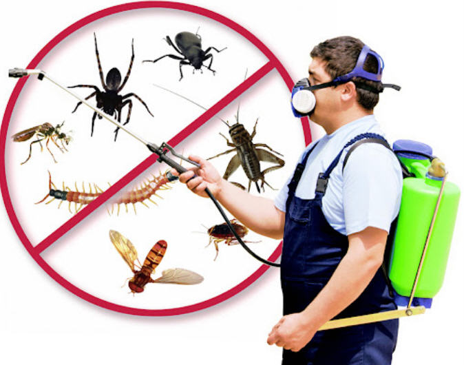Pest Control