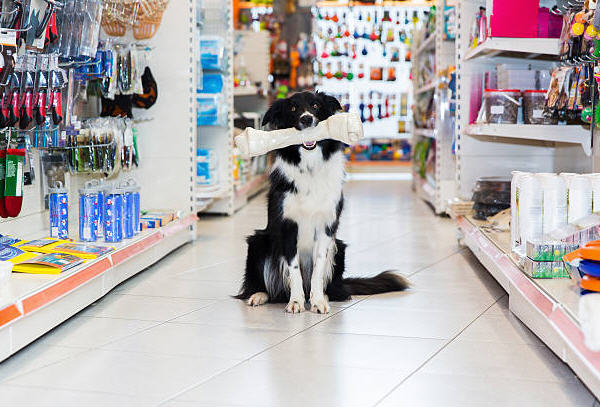Pet Supplies