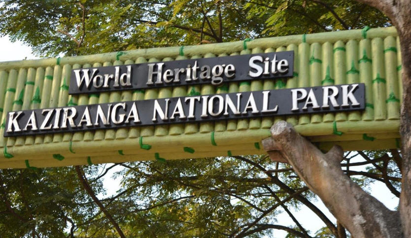 Kaziranga National Park