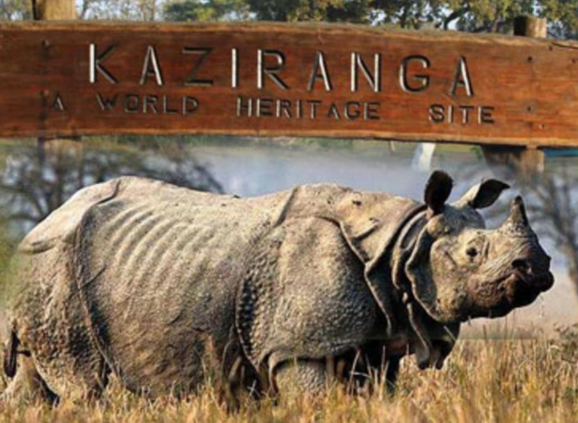 Kaziranga National Park