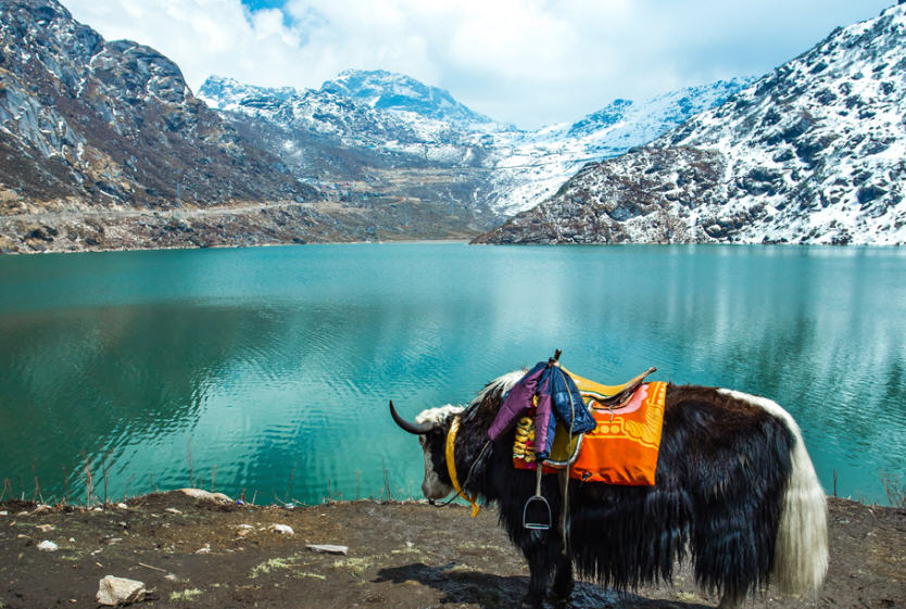 Sikkim